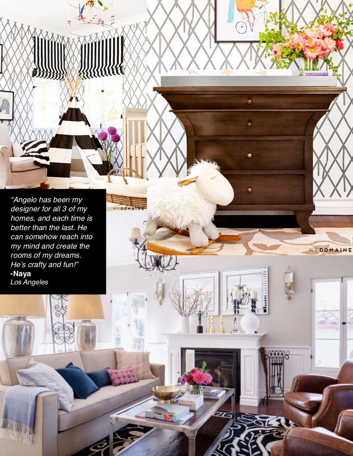 The Angelo Surmelis Design Consultation - angelo:HOME -