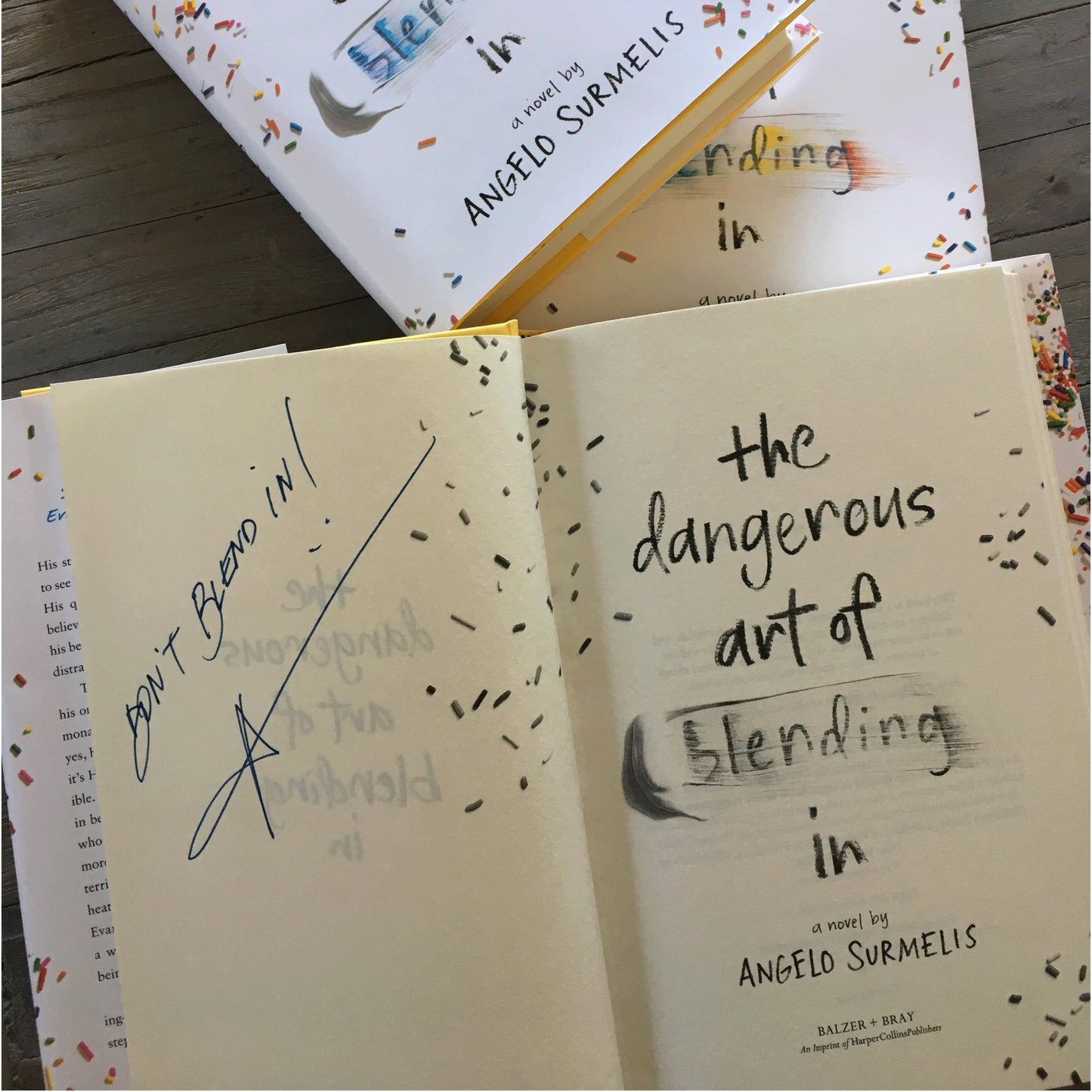 The Dangerous Art of Blending In (signed copy) - angelo:HOME - books