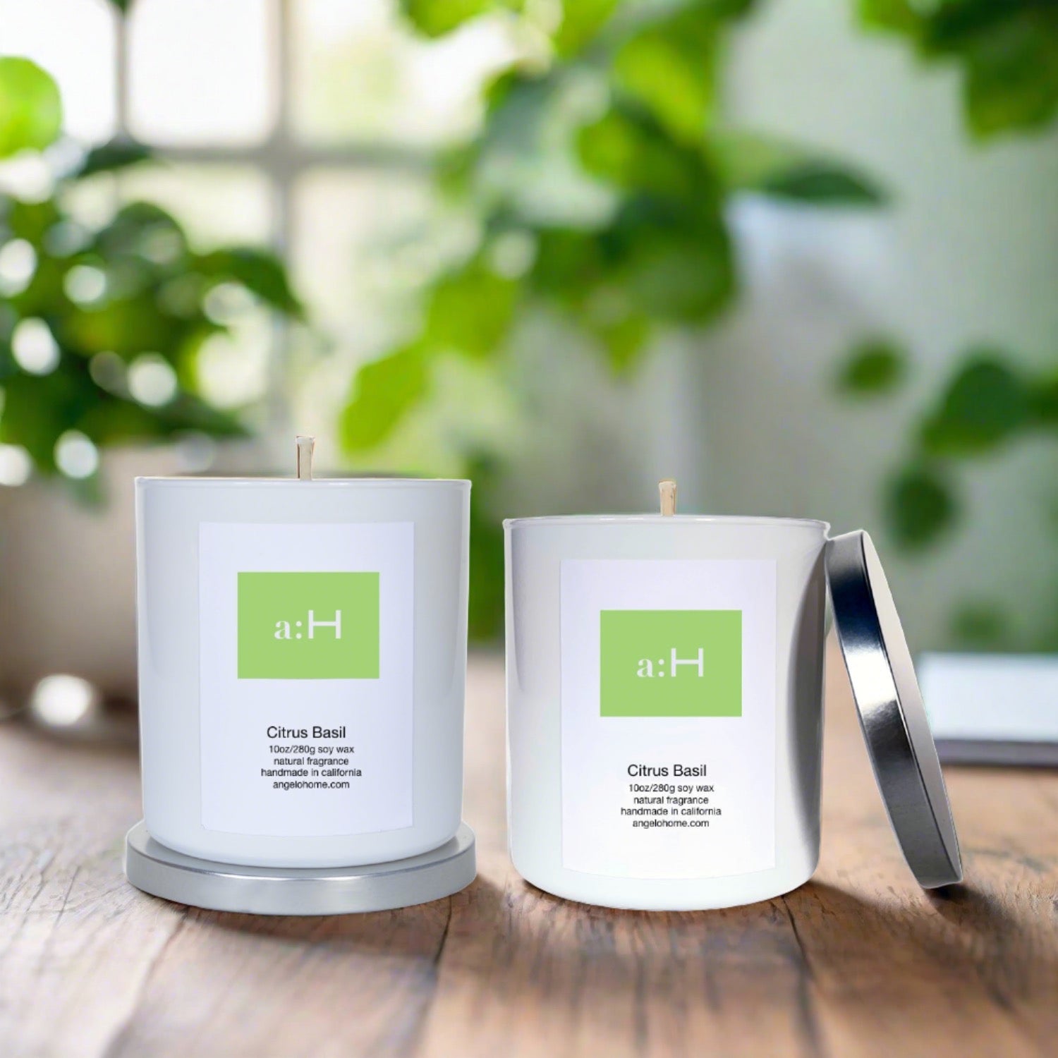 a:H - Citrus Basil - angelo:HOME - Home Fragrances