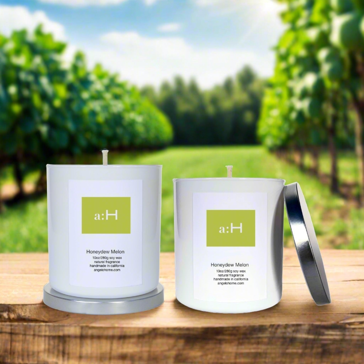 a:H - Honeydew Melon - angelo:HOME - Home Fragrances