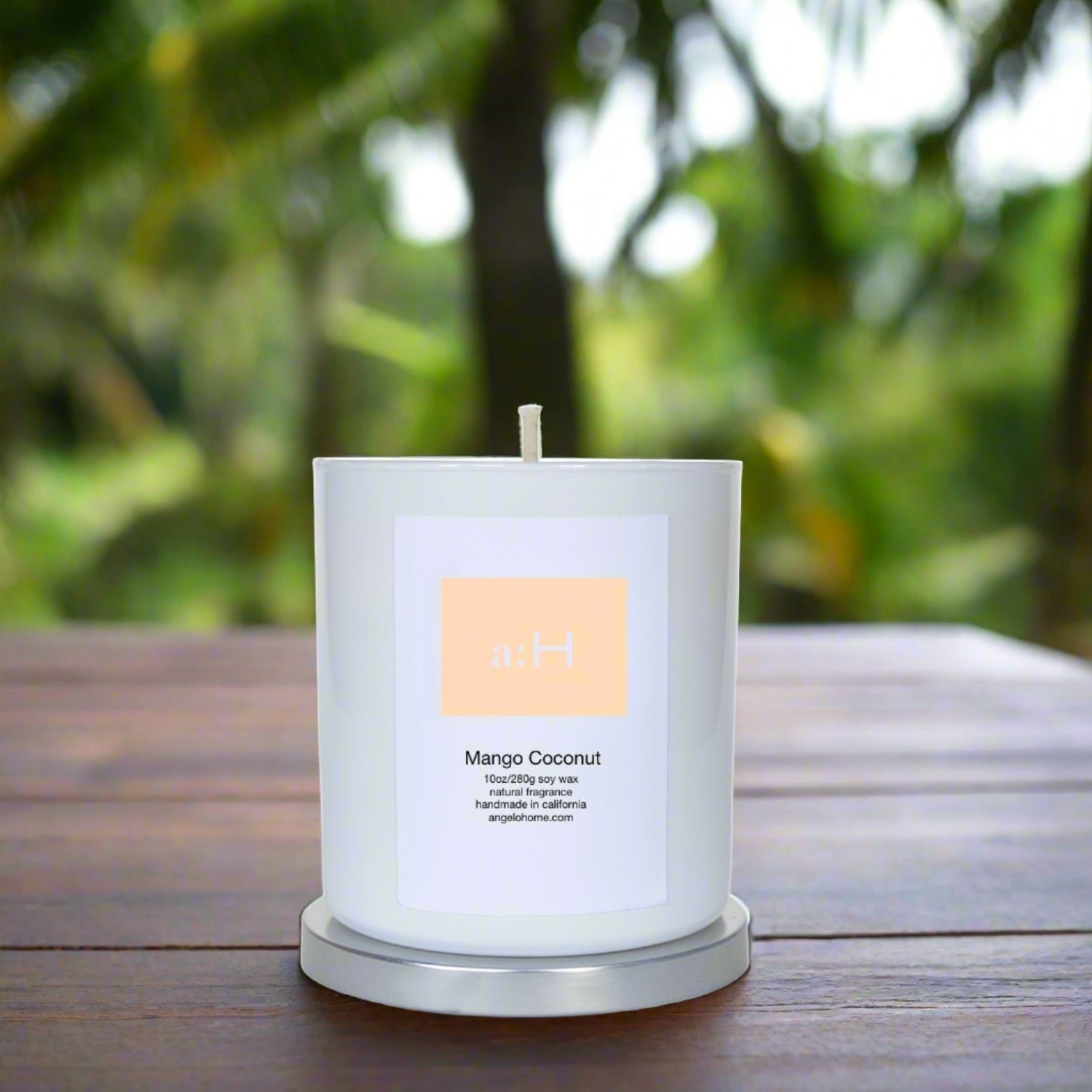 a:H - Mango Coconut - angelo:HOME - Home Fragrances